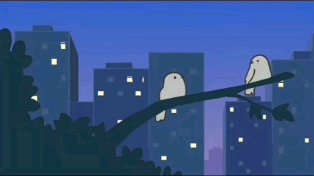 【罗小黑战记】爱情中的小鸟!!!